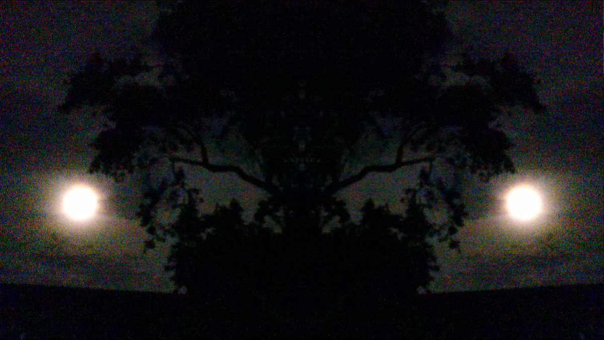 theycallmeSL's tweet image. behave you two moons. #TruConfessions #twinscode #creativepassions #djdanger Adam @joejonas Lee @mishaleesoriano -SL @thecampaignbook