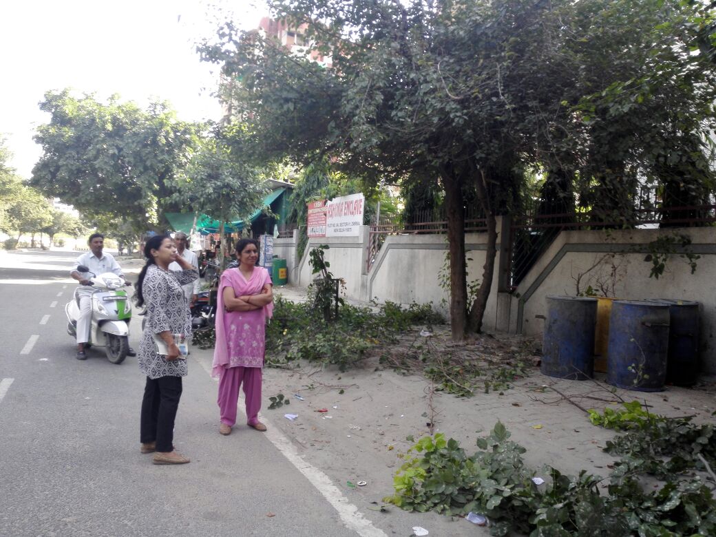 madhuri_var's tweet photo. #CleanDwarka in co-ordination with SDMC nd @dwarkaforum ..Sec11 tree pruning & horticulture waste collection Sec11 https://t.co/ai3Qxb3yyJ