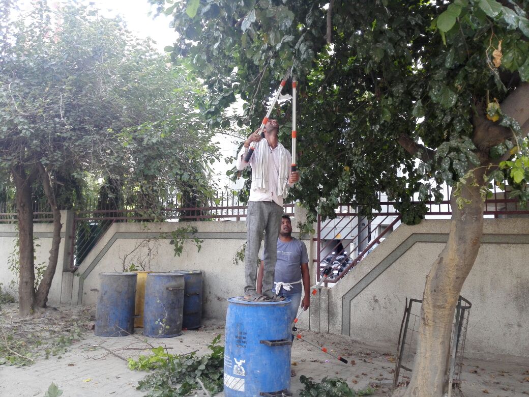 madhuri_var's tweet photo. #CleanDwarka in co-ordination with SDMC nd @dwarkaforum ..Sec11 tree pruning & horticulture waste collection Sec11 https://t.co/ai3Qxb3yyJ