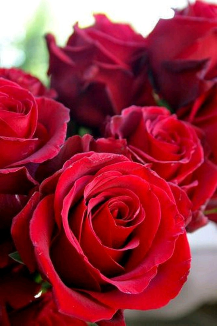 Nora_almasrahi's tweet photo. #محب@h20ah1 #100_k 
🌟🌟🌟🌟🌟🌟🌟🌟🌟☄☄☄☄☄☄☄☄☄#شااااهدين_لك https://t.co/KiqPq7eQdW https://t.co/9QrZfUmJCD