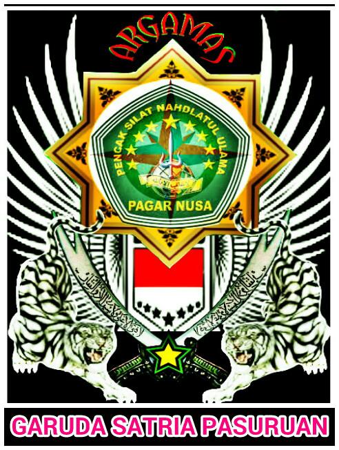 JsSeti's tweet image. Pencak Silat PAGAR NUSA ARGAMAS PASURUAN