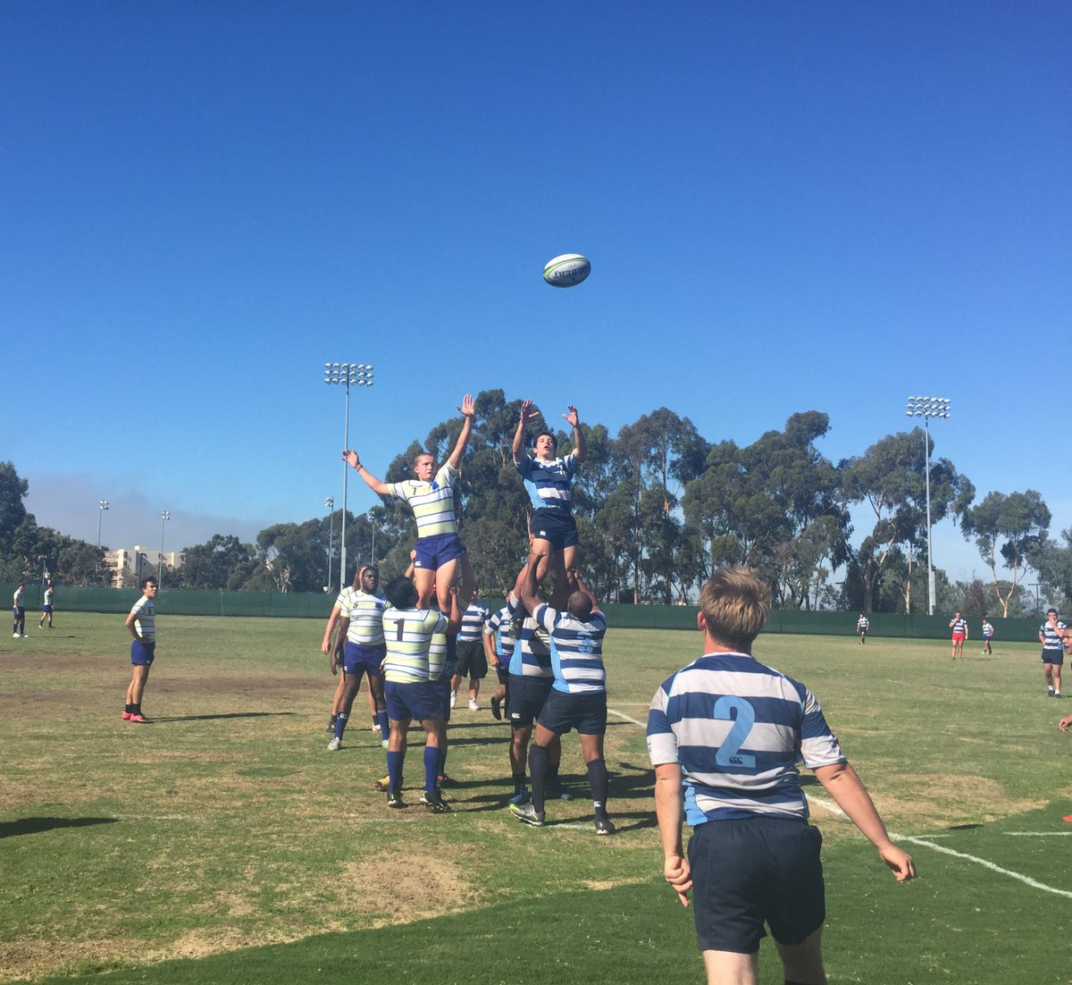 Great scrimmage against UCSD. Both teams fought hard for a good weekend of rugby! #USDMensrugby #toreros