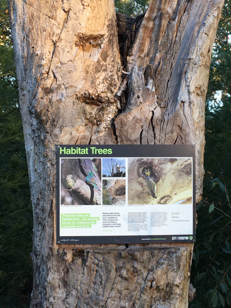 Wendy_Bacon's tweet photo. Here's #habitat tree designed to preserve species. #WestCONnex plans to destroy to add 63000 extra cars in Euston Rd https://t.co/8KS2TavL8r