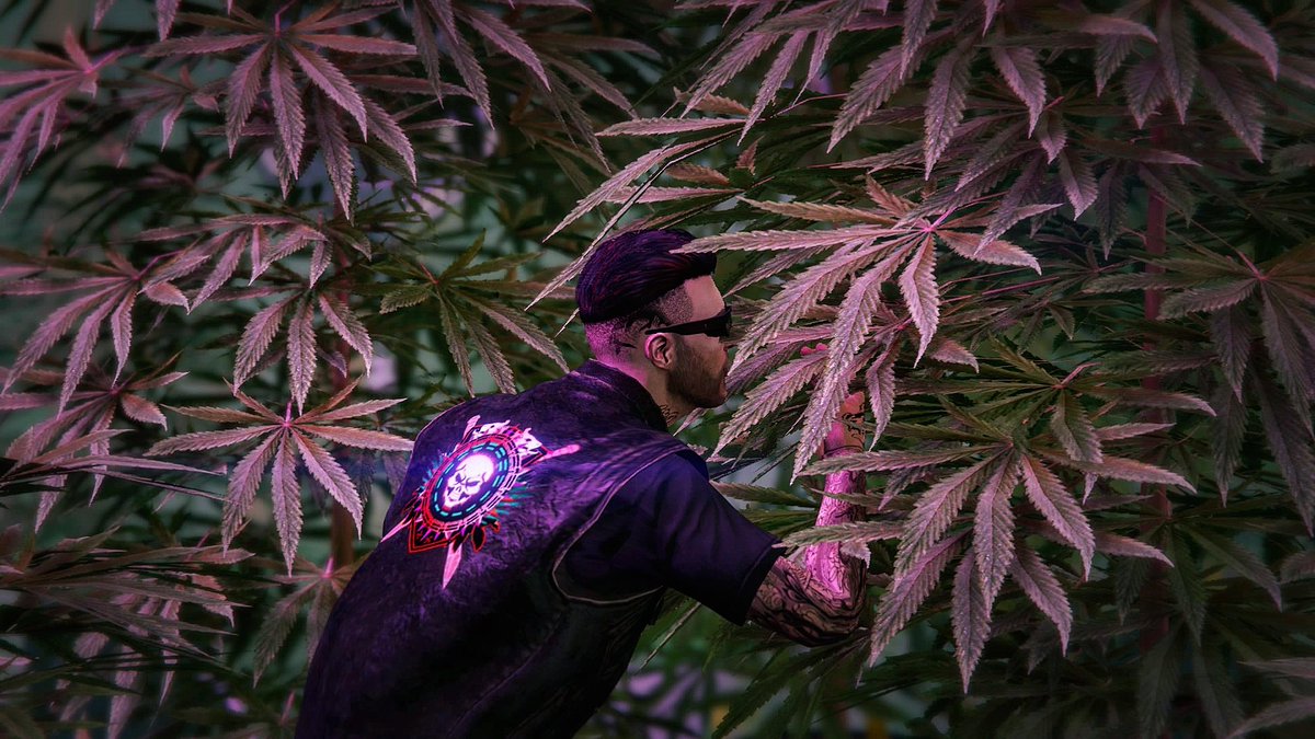 AllThatGames2's tweet photo. The smell of nature 😇
@WaveformGaming 
@GamerRTService 
@gridcoreRTs 
#GTAV #GTAOnline #GTAPhotographers https://t.co/xIN38gTwNb