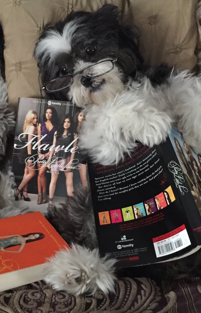 shannonbenson's tweet photo. I'm happiest when I have time to read my Pretty Little Liars books! -Chloe @PLLTVSeries @BensonDogs #pll #love #dog #pllbooks https://t.co/1L0FTmtGYa