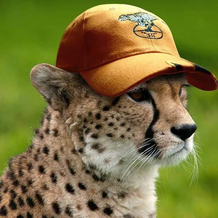 PoshFunctions's tweet image. Good morning #DinokengGameReserve 
Let's make it a #lekker #SundayMorning 
poshfunctions.co.za