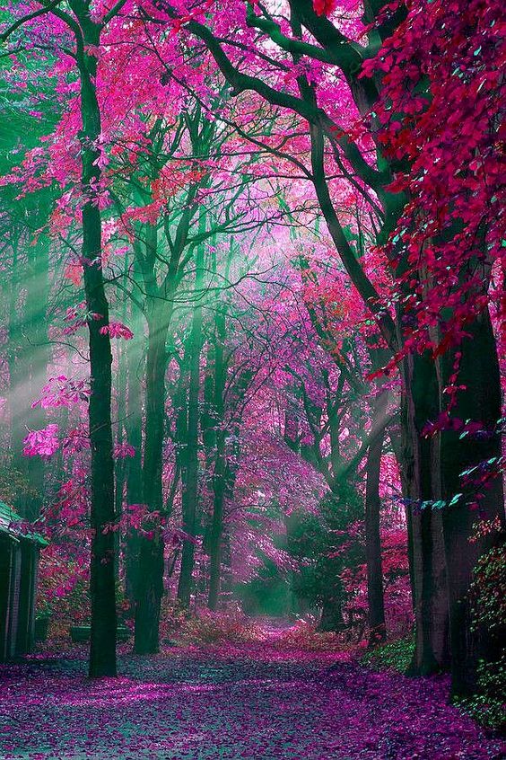 mari_ub11's tweet photo. G. morning dear friends...
Enjoy Sunday...fun &amp; happy folks...
Love u all...☺♥ https://t.co/gcfU7PIAuX