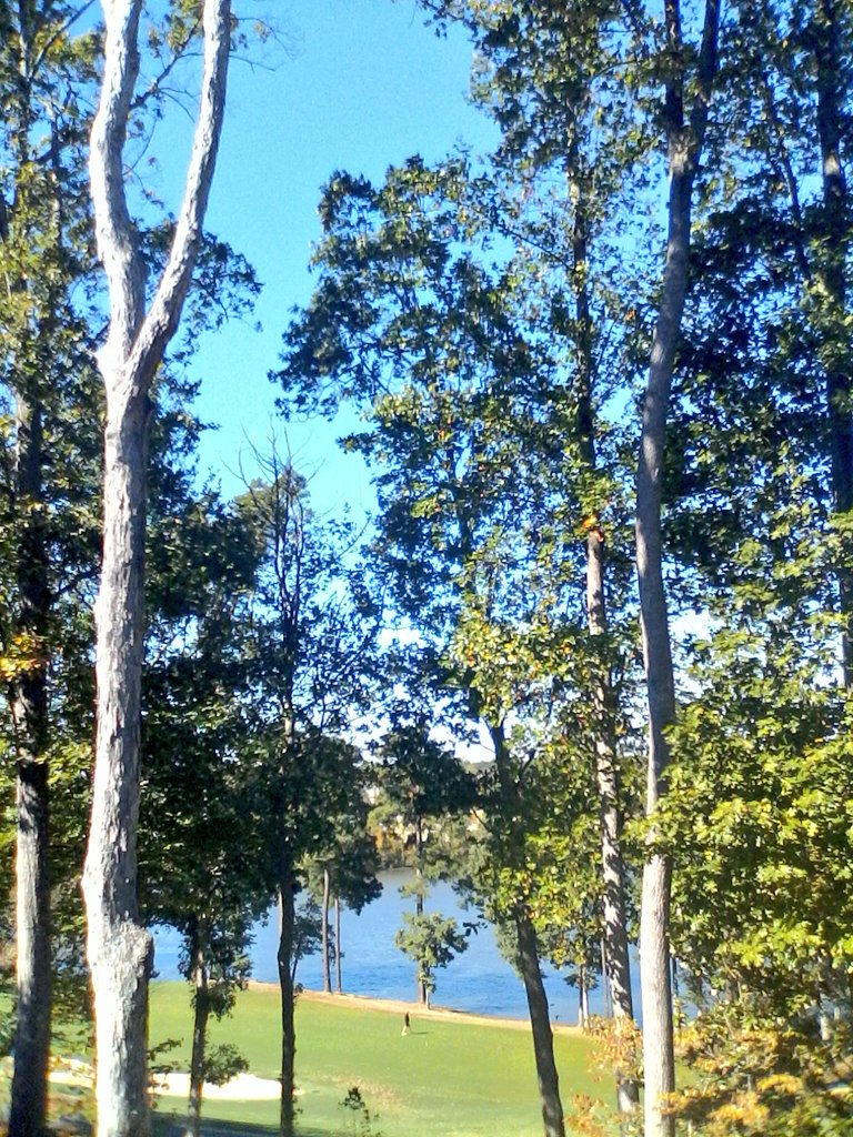 GlobalDoves's tweet image. A Room with a View!