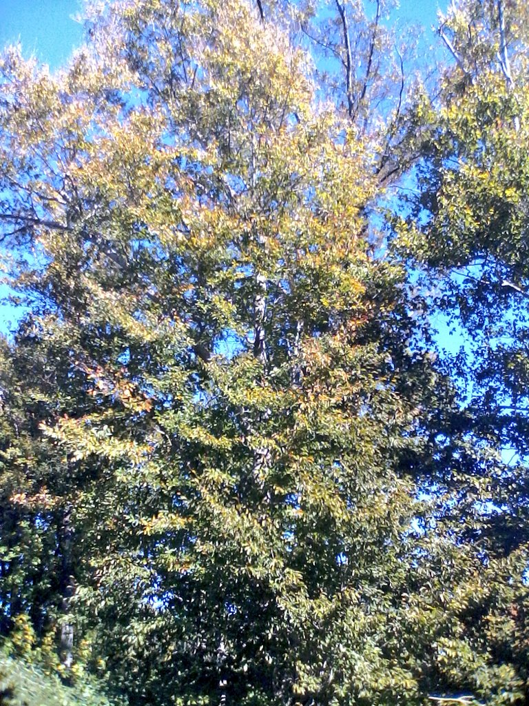 GlobalDoves's tweet image. Beauty Comes From Within!