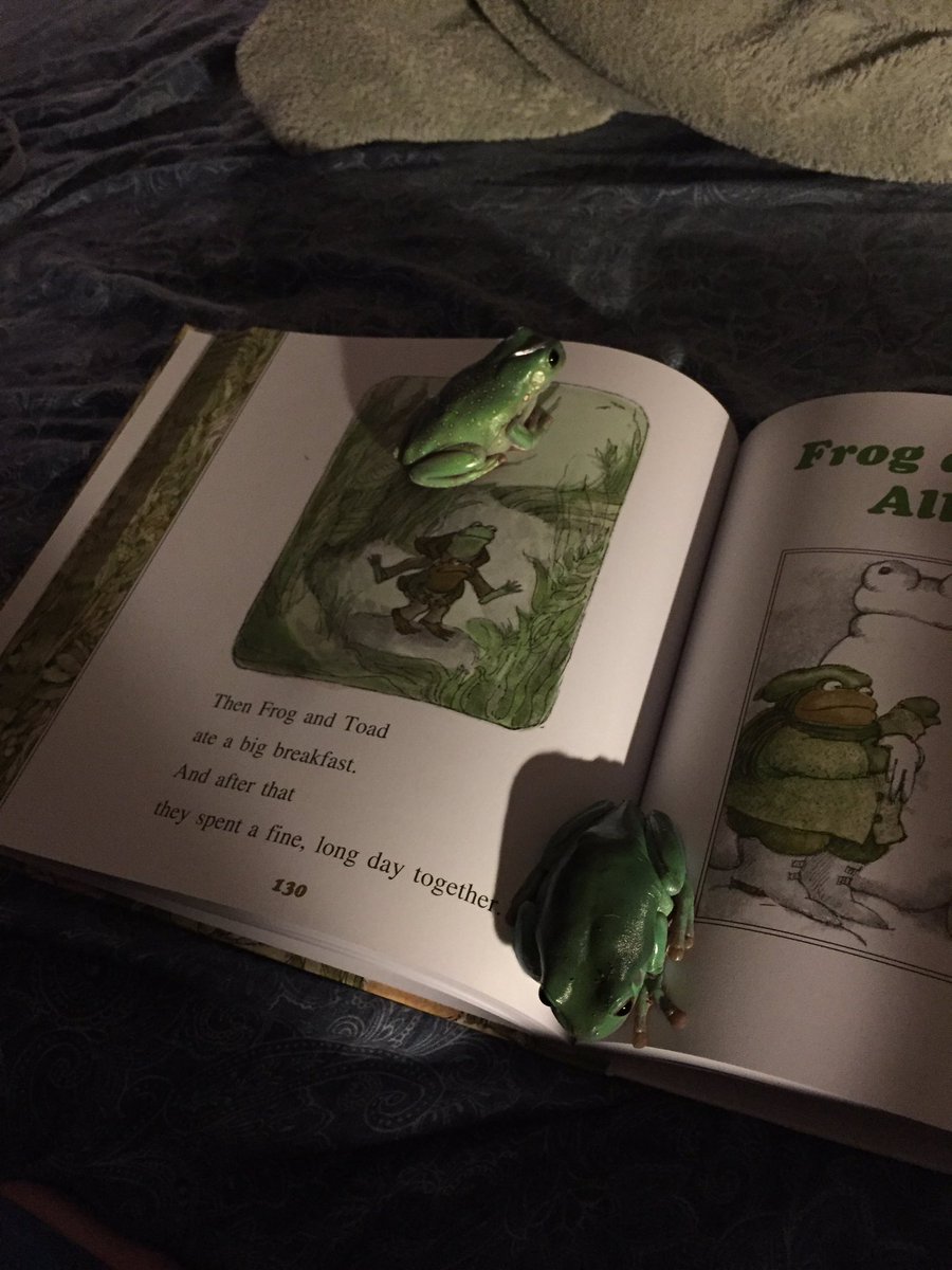 binguses's tweet image. i have decided to teach the boys how to read, it's going incredibly well so far