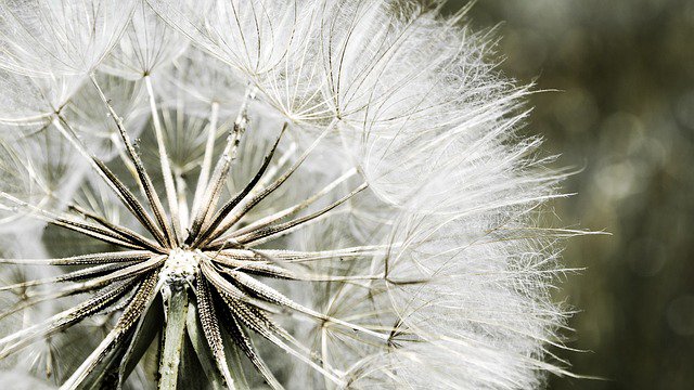 kutestuffplus's tweet photo. "Man cannot influence in this respect the atomic forces of Nature." Frederick Soddy #kutestuff #quote #nature https://t.co/DMZF7jobRm