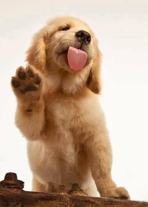 fun__tweet's tweet photo. RT to clean someone’s screen 😍 https://t.co/m3D4cMI05I