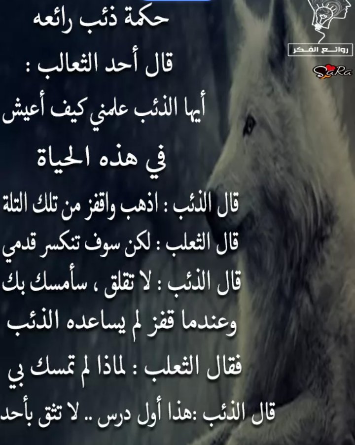 Aaaa Ssaass (@aaaa_ssaass) on Twitter photo 