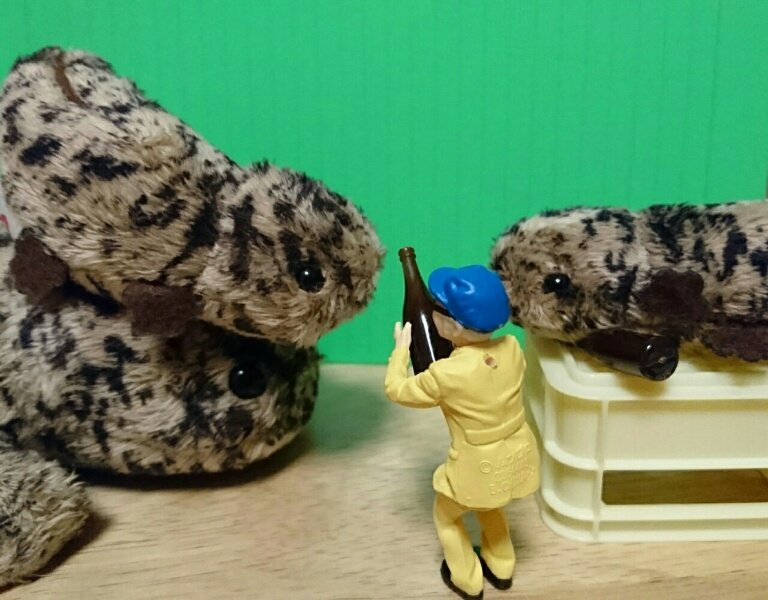 hitode_74's tweet photo. ムツゴ◯ウさんとオオサンショウウオ(改２) https://t.co/jjpygiabs4