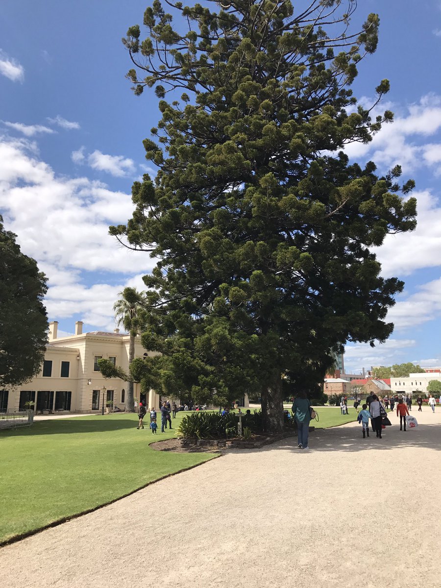 LVS's tweet photo. Government House Open day! #openstateSA @OpenStateSA https://t.co/n1Sy7xyi3b