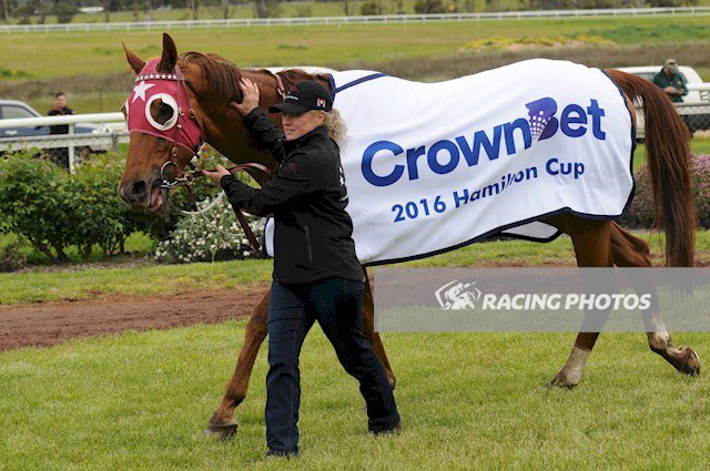 Country_Racing's tweet photo. LEICA DAY trained by the master @DKWeirRacing with John Allen aboard takes out the 2016 .@crownbet #HamiltonCup ๐#CountryRacing #ItsGotItAll https://t.co/g0KWSF2WMS