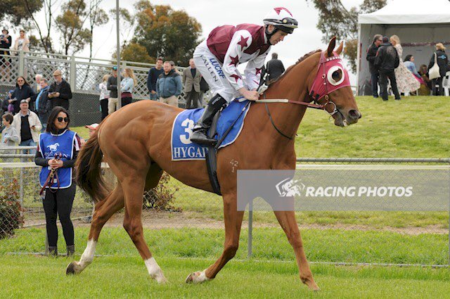 Country_Racing's tweet photo. LEICA DAY trained by the master @DKWeirRacing with John Allen aboard takes out the 2016 .@crownbet #HamiltonCup ๐#CountryRacing #ItsGotItAll https://t.co/g0KWSF2WMS