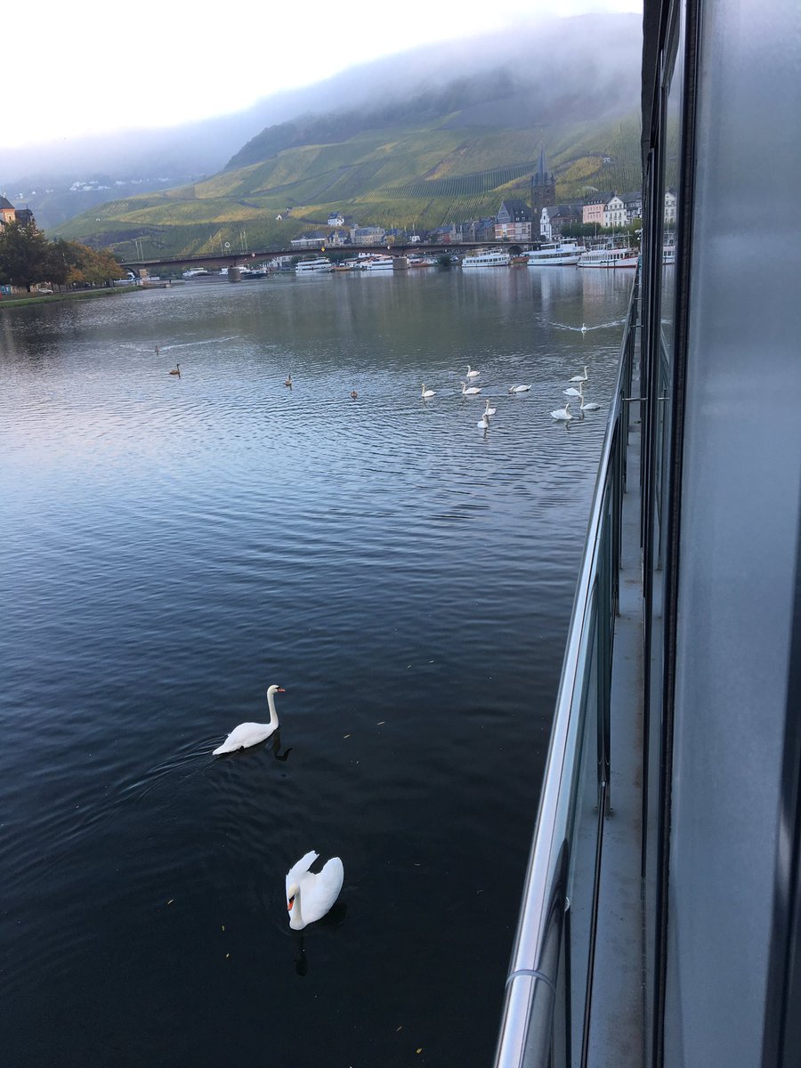 GLISSCaffee's tweet photo. GLISS Genuss-Ticker. #BernkastelKues #PhoenixReisen #BeflügelterGenuss #Mosel #Dallmayr #Fachingen #GLISSCaffee #Hauptsitz #MeandLou https://t.co/1FOLxTlxaB
