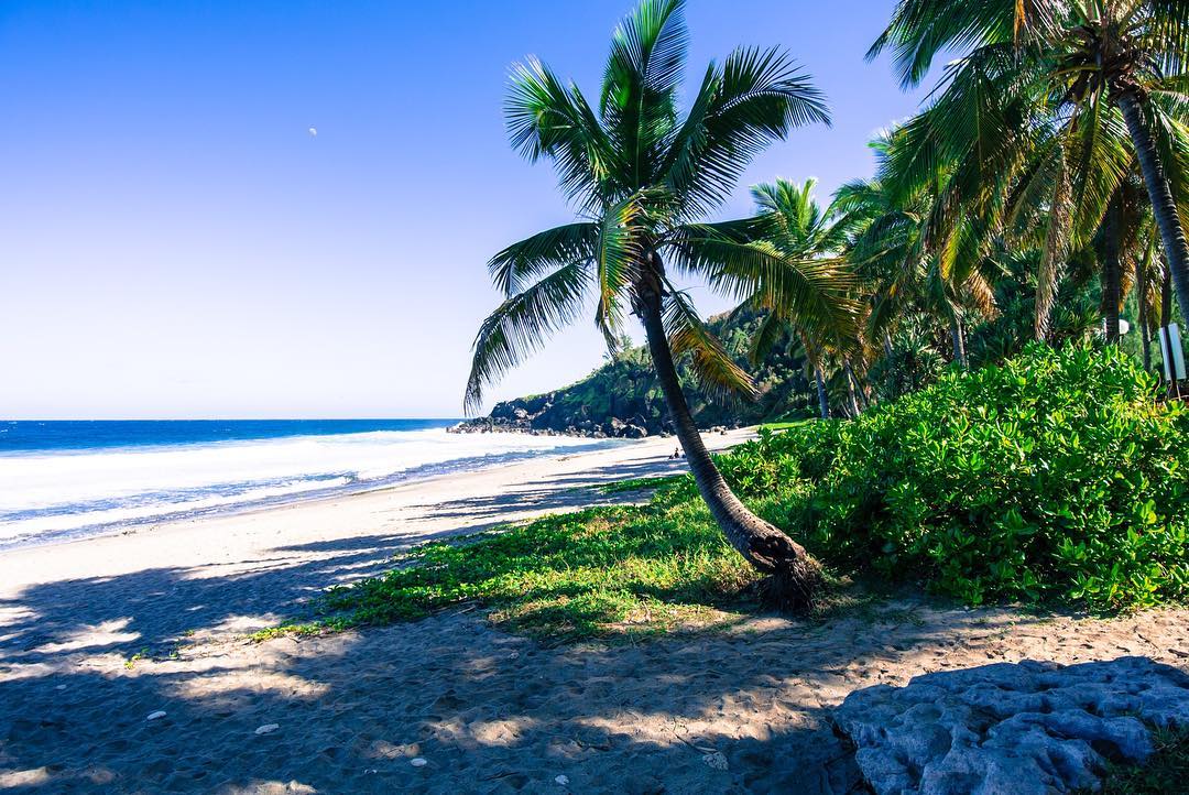 974attitude's tweet photo. Plage Grand Anse, La Reunion (Island) #lareunion #travel #goandexplore #TheAdventureJunkies… https://t.co/3lu9hL7vEt https://t.co/y33kFTNAcI