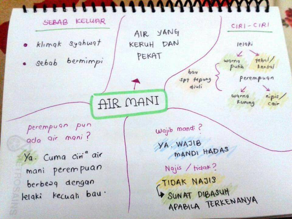 Air mani perempuan