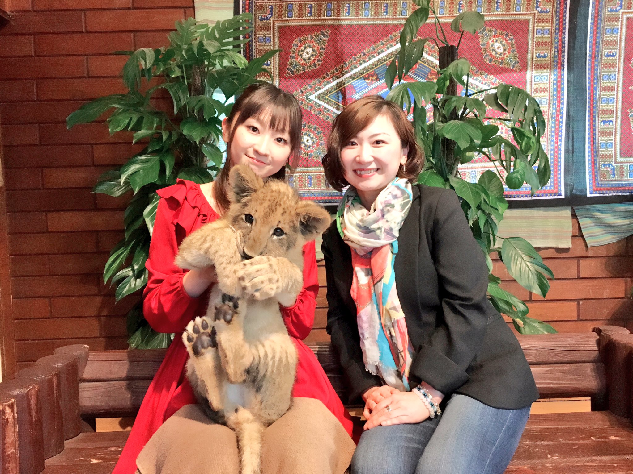 木村 寿美 En Twitter 富士サファリパークに人生初 行っちゃった ライオンの赤ちゃん可愛かった 明日まで抱っこ 出来るらしくて めっちゃラッキーでした 生後3ヶ月の赤ちゃん 富士サファリパーク ライオン 抱っこ T Co Fhllncwucz Twitter