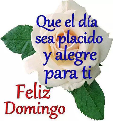 Mirian BB (@mirian4bb) on Twitter photo 