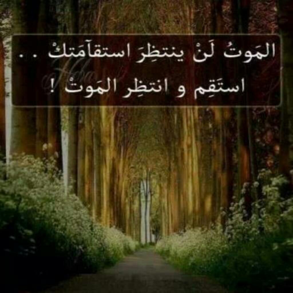 fah4mi's tweet photo. https://t.co/Q9FKFEJUQi