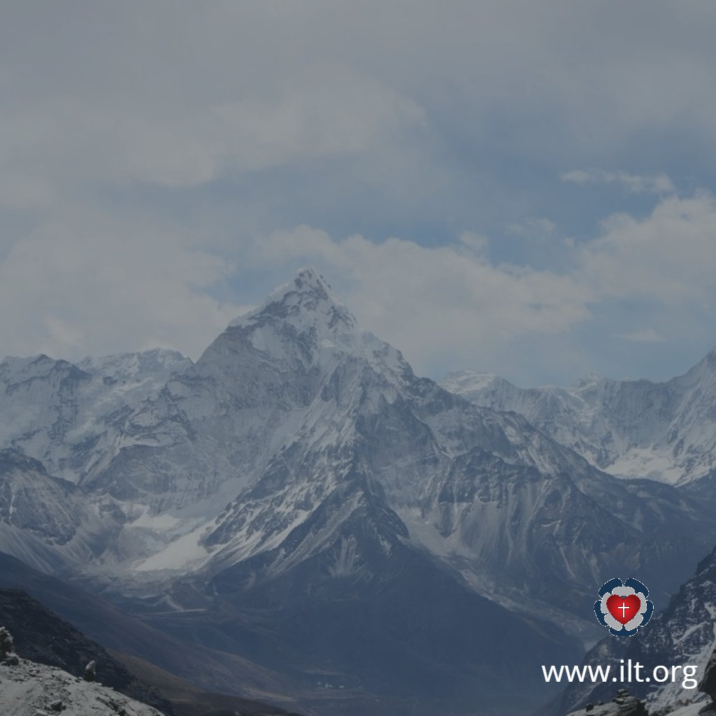 Church & State tweet media