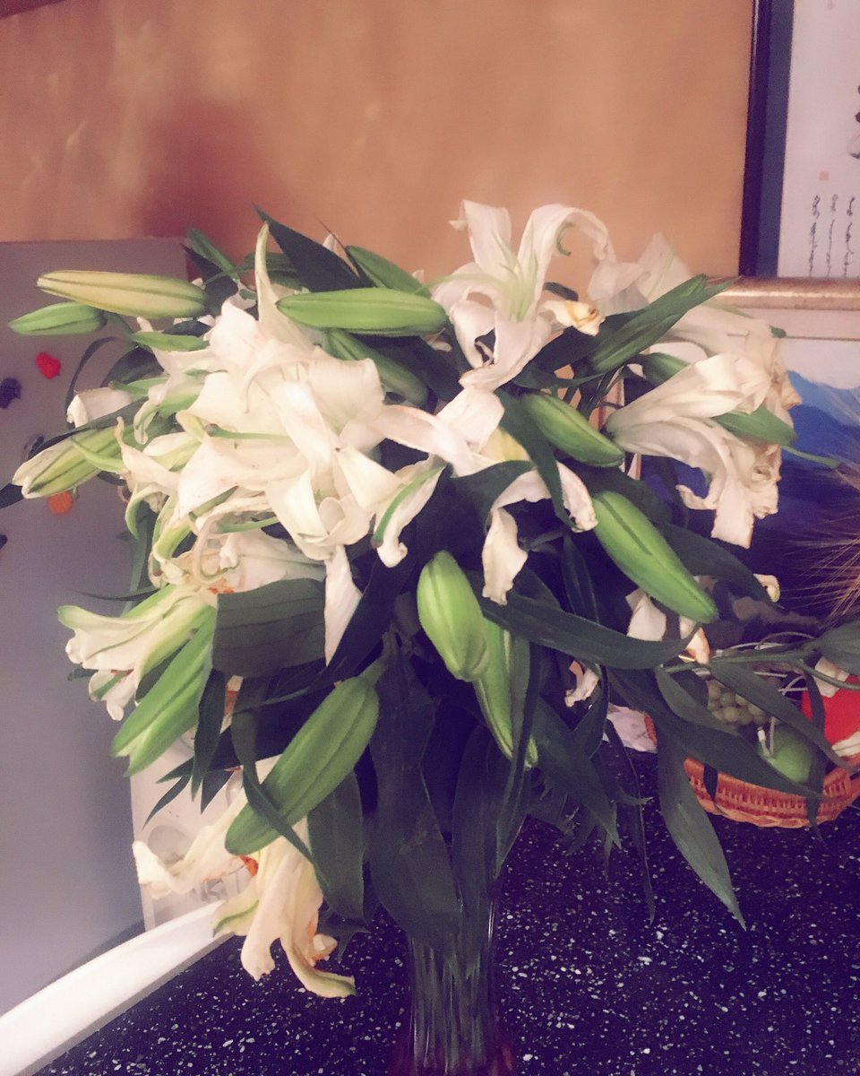 JZolzaya's tweet photo. #Thanks #beautiful #flower #marketersday https://t.co/j94deDerZr