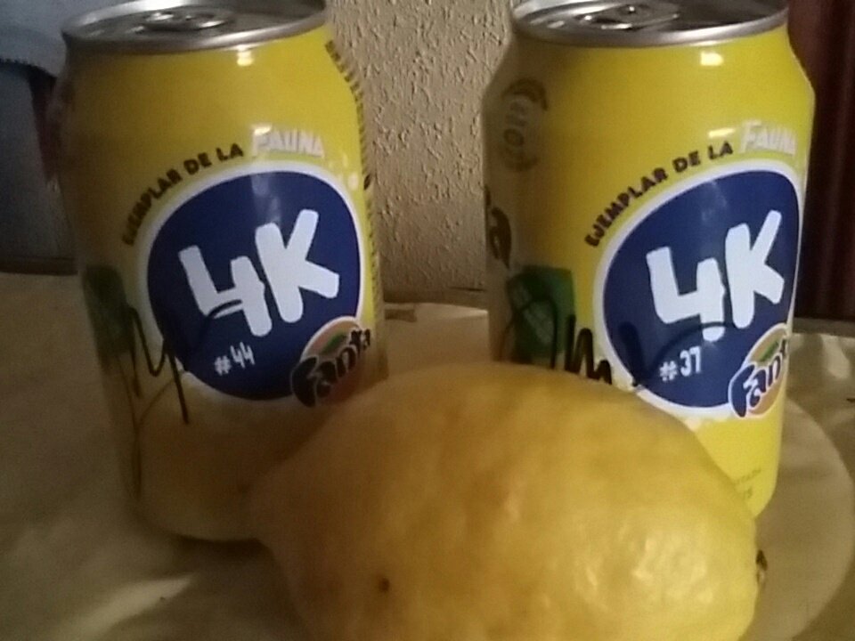 SrtaNattBizzle's tweet photo. Fanta de limón 4K y un limón del escenario 😂 @Rubiu5 LOS CUIDARE COMO HIJOS #ExprimeLimones4K #FantaLimon4K @MadFunFest https://t.co/glDvgLw64B