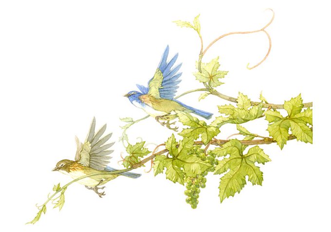 幸せの鳥のtwitterイラスト検索結果 古い順 幸せの鳥のtwitterイラスト検索結果 古い順