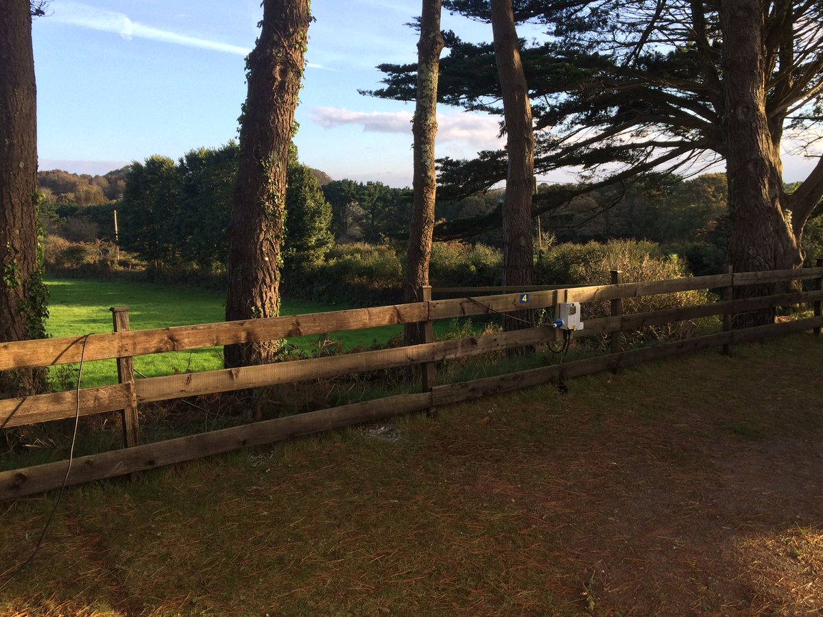 The view from my window this morning #whealrodney #vwbusmagazine #blahblahblah