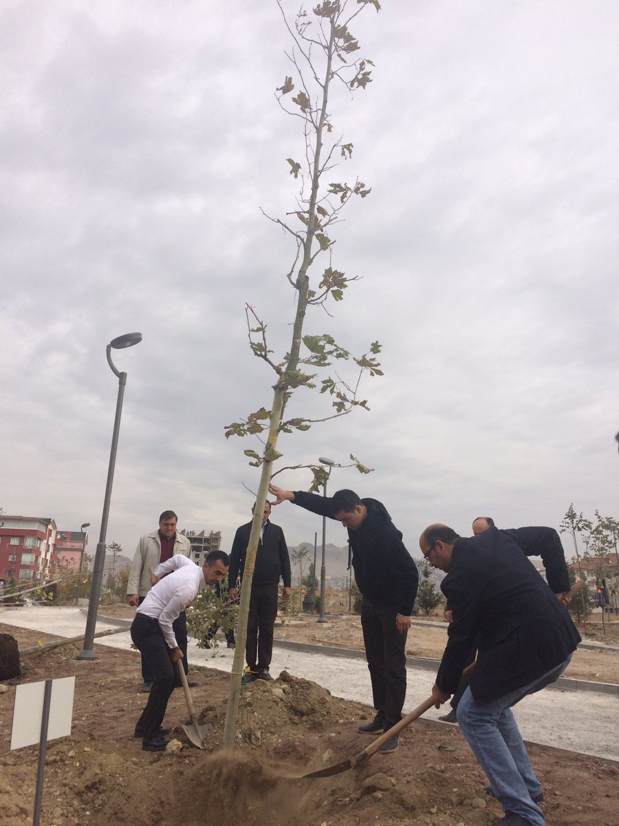 akgenclikcsk06's tweet photo. Mamak İlçe Başk @MAbdullah19 Gençlik K.Başk. @fthsahiner ve @akgenclkmamak 'a emeklerinden dolayı teşekkür ederiz @kurtcancelebi https://t.co/xXJz6R7U71