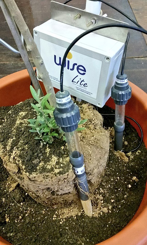wise_irrisystem's tweet photo. La '#agricultura de precisión' se alía con #FIMART16. El riego inteligente de Wise: https://t.co/AZ8HrjfPhg #BigData @Rurapolis @Smart_Rural https://t.co/H1mWQAvOEs