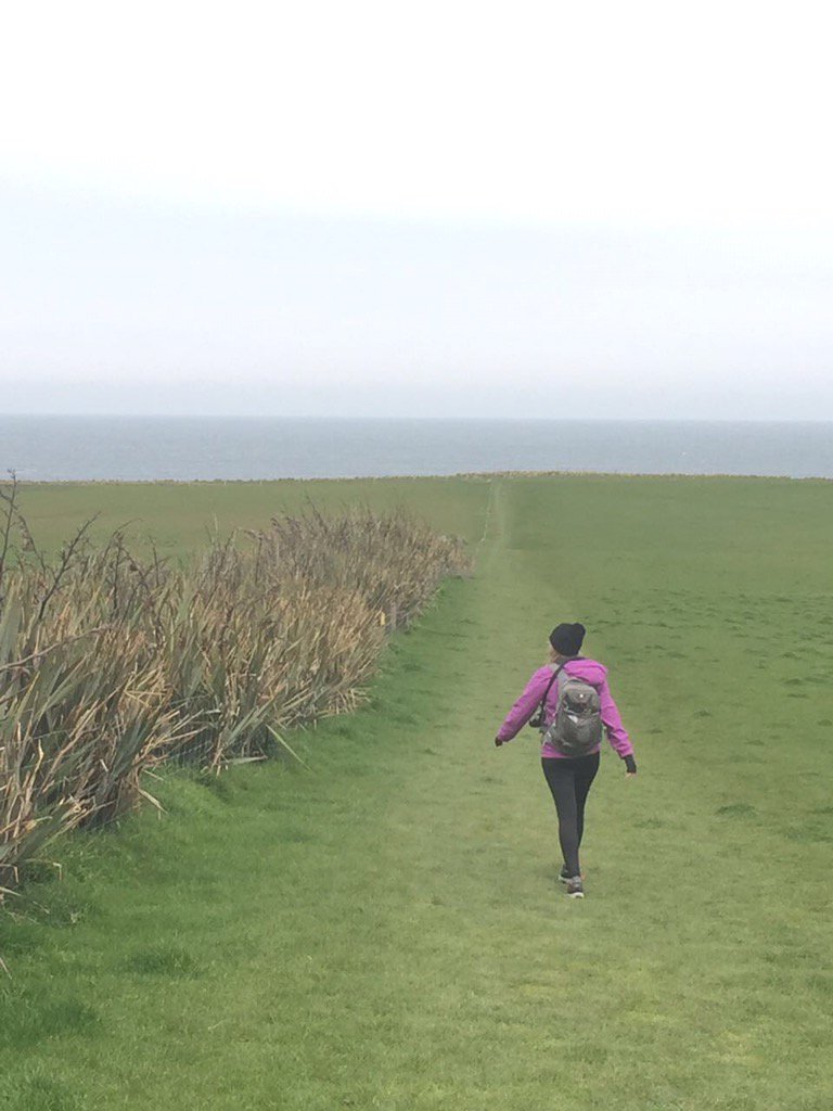sandra_kathleen's tweet photo. Follow me to the southern most point on New Zealand's South Island. #nextstopantarctica #slopepoint #somanysheep https://t.co/vTpecF5Iq6