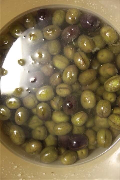 NorwichGardens's tweet photo. Want to cure your Olives? Here's how. Just follow these four simple steps. https://t.co/ZDFFtHSMzz https://t.co/gjojVGB7K4