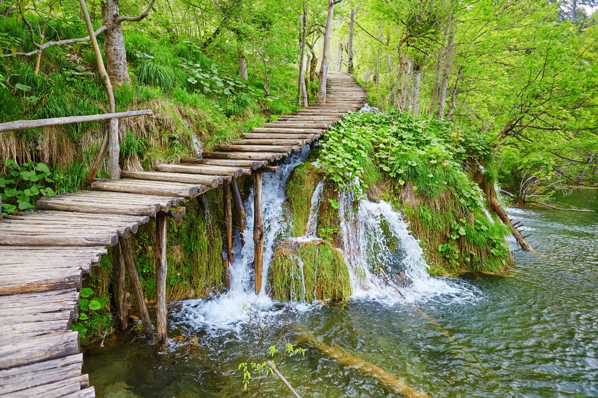 NatureRealised tweet picture