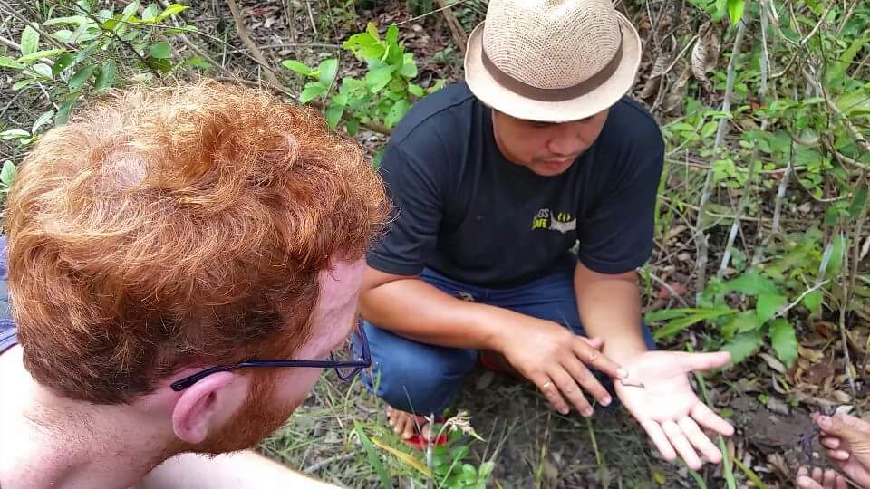 anteater_nz's tweet photo. So many amazing experiences in #Thailand and #Cambodia. The highlight of which was this #edibleinsect hunt with #bugscafe. https://t.co/80a2AasmNC