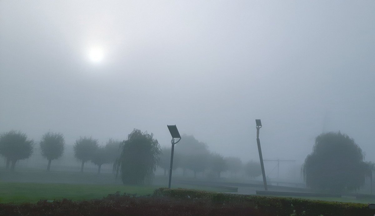 LeurseHaven's tweet photo. Leurse Haven in de mist. #leursehaven #geerkade #mist #ettenleur https://t.co/nT9KFcU8uZ