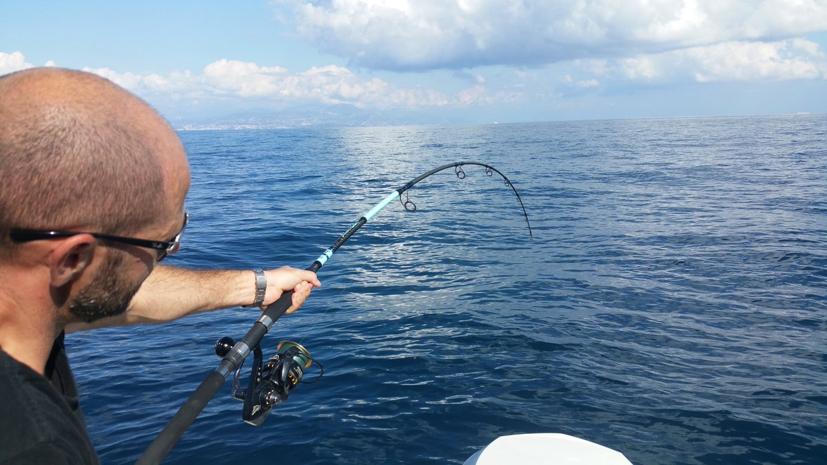 YoBaryo's tweet photo. HR BASSFORCE EXOCAST SLT 80LBS
Idéal pour les gros thons de Méditerranée
#humminbird #bassforce #heartyrise #helix12 #navicom #guidedepeche https://t.co/DD7xtDyZTd