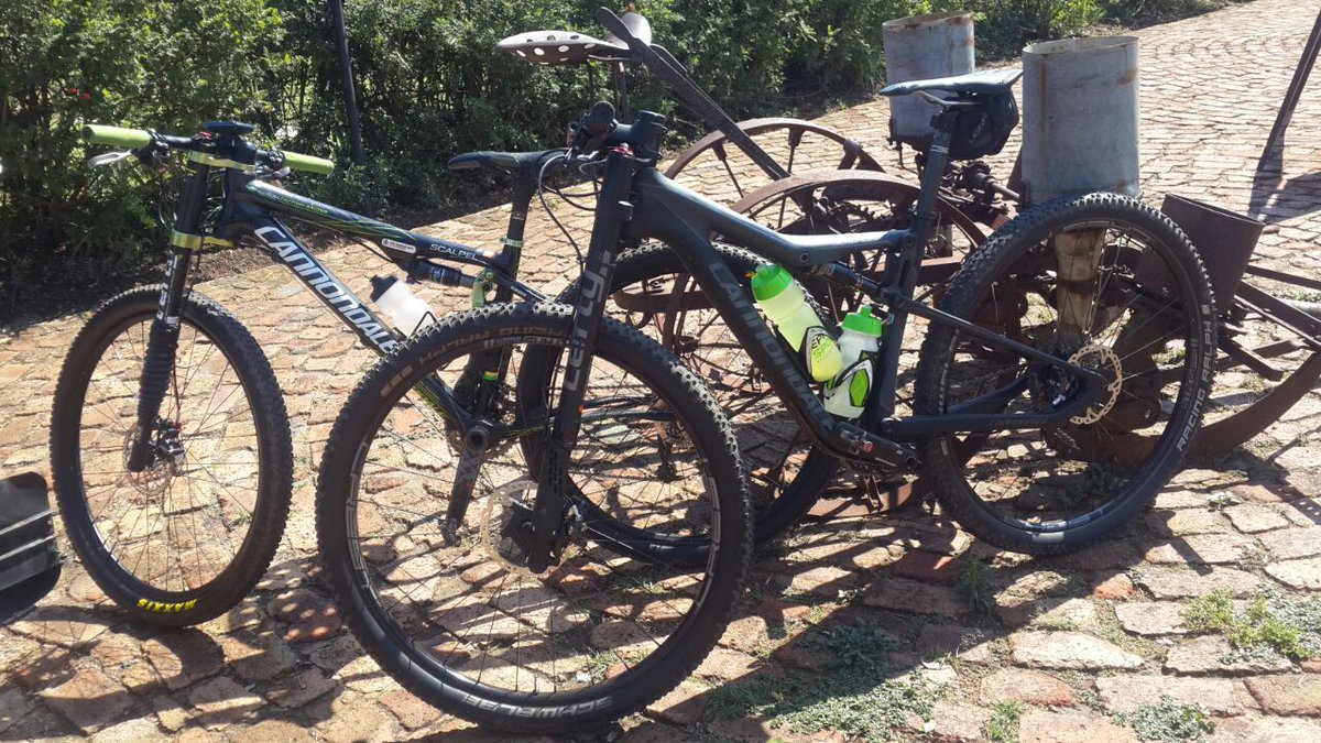 Yolande Speedy tweet media