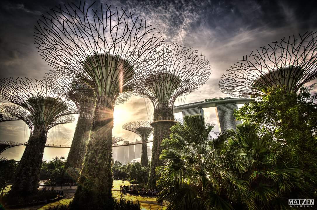 Red Sector Inc. tweet media