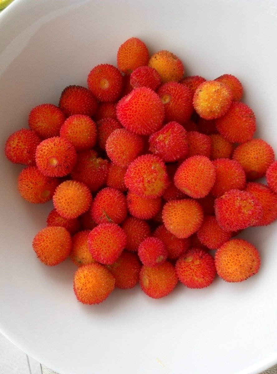 ademartinis's tweet photo. #fruttafuorimoda corbezzoli ma anche #parolefuorimoda https://t.co/yjRDsfRUiI