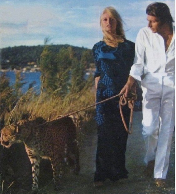 100 Sylvie Vartan On Twitter Yeah Ca C Est Du Journalisme On Verifie Ses Sources