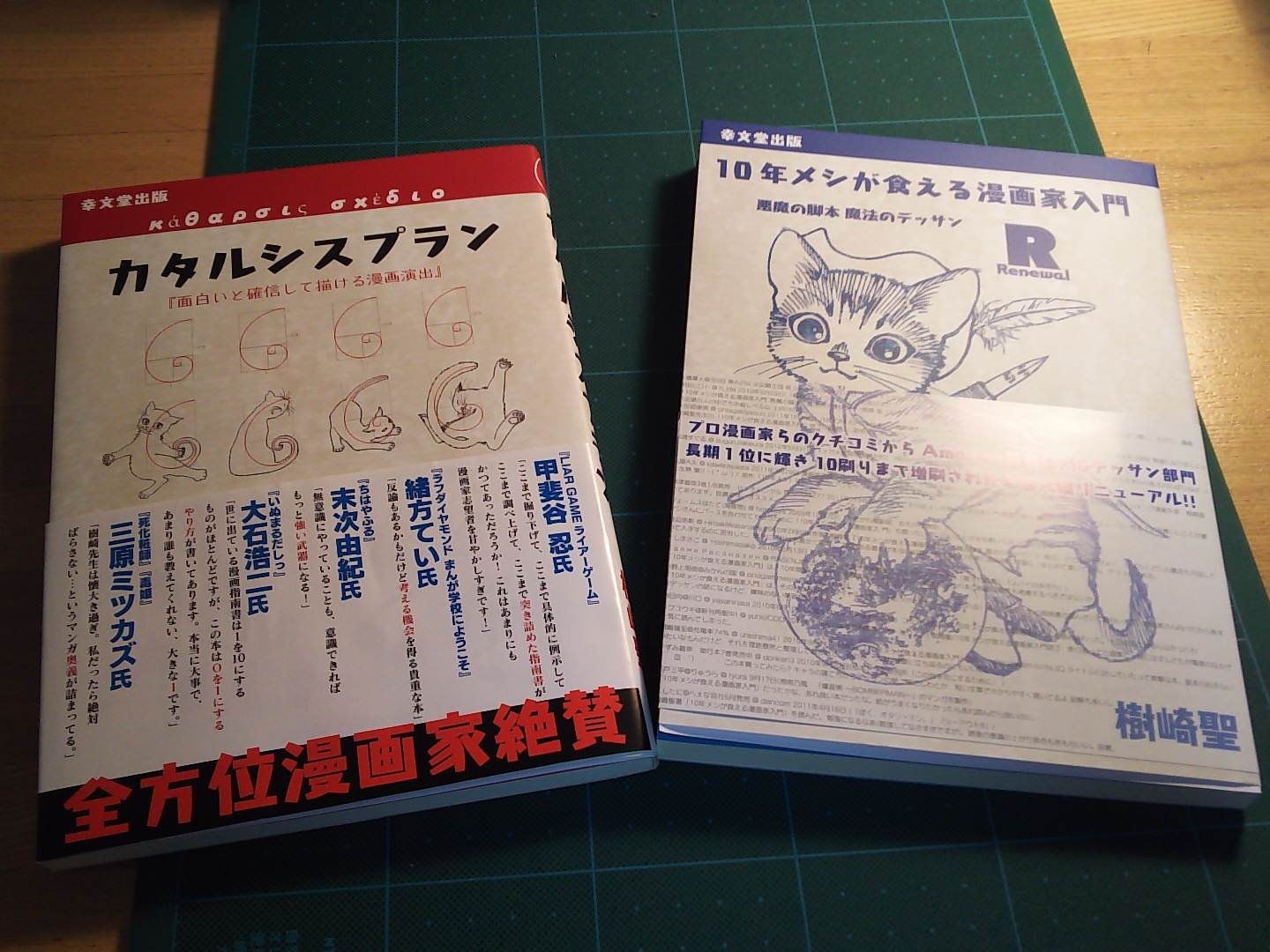 تويتر ｍｃｍ على تويتر 樹崎聖先生著の漫画指南書 カタルシスプラン 10年メシが食える漫画家入門 かなりいい漫画 指南書です 共感できるところもありましたが気づかされた内容もありました カタルシスプランの序盤で好きなフェチを描くと漫画がイキイキすると