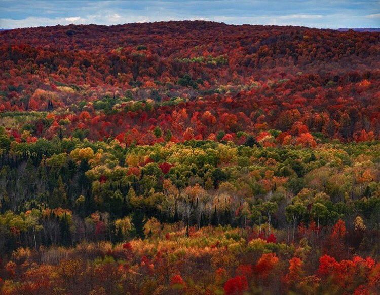 MichiganBests's tweet photo. Deadmans Hill https://t.co/fY3hXFMSL5