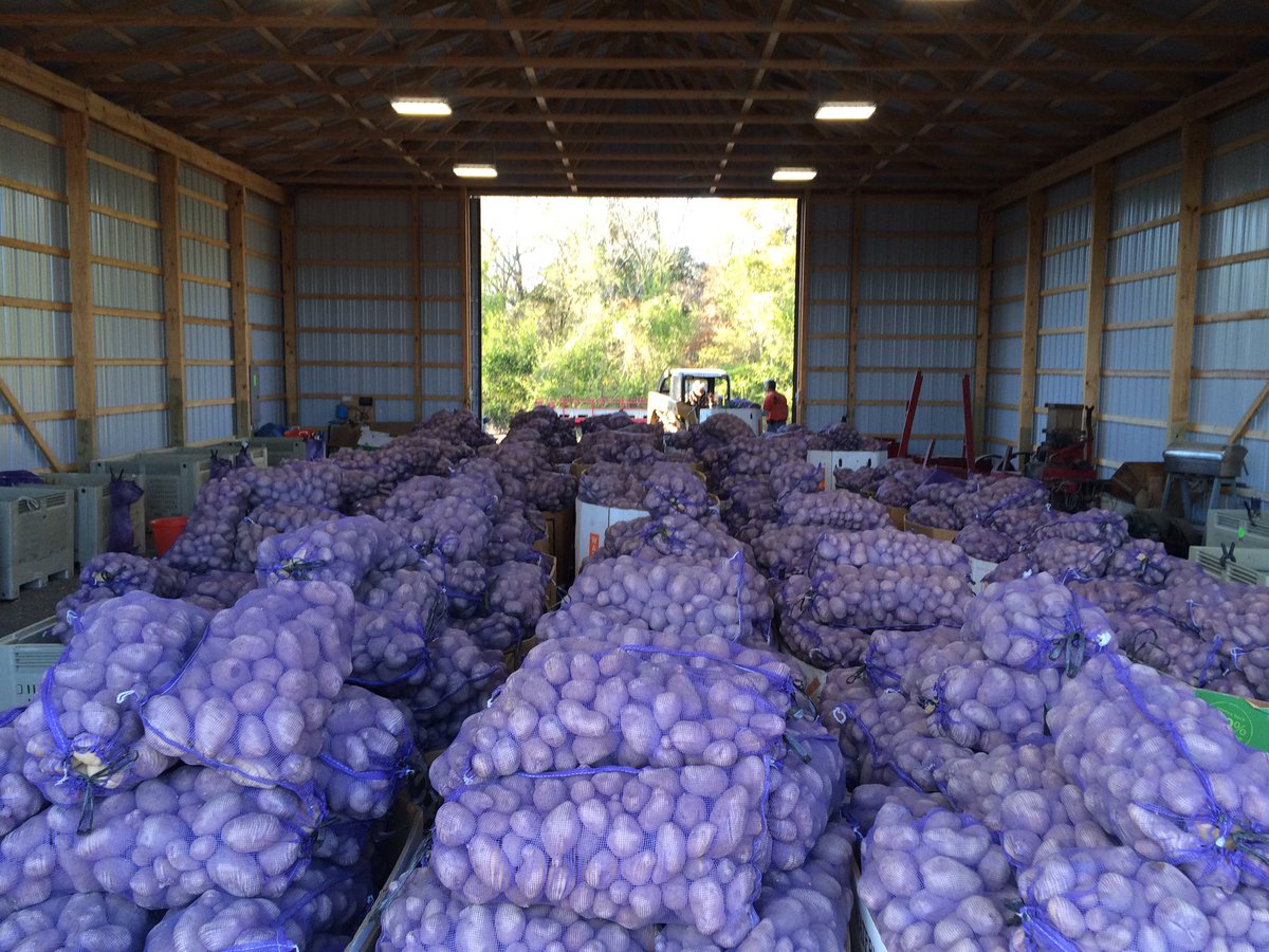 CatholicReview's tweet photo. 7,500 lbs. of potatoes are leaving #FirstFruitsFarm today and being shipped to flooding victims in WV &amp; NC! https://t.co/oFcm5hWhGS
