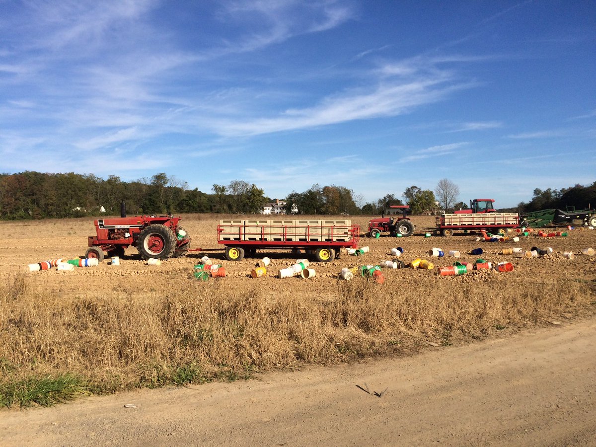 archbalt's tweet photo. 7,500 lbs. of potatoes are leaving #FirstFruitsFarm today and being shipped to flooding victims in WV & NC! https://t.co/CbMjHmGHe0