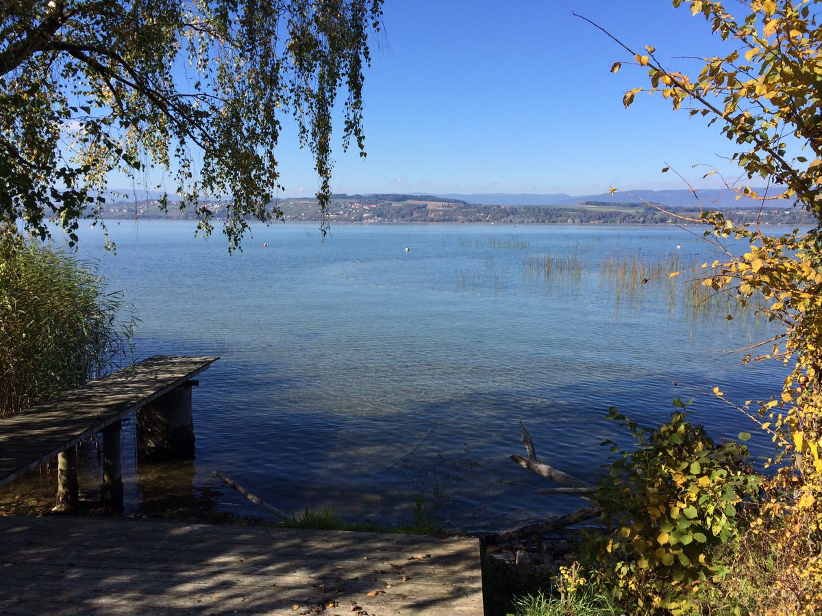k_kathi's tweet photo. herbstgrüsse by sunshine! ;-)
#murtensee #herbst #todo #must #highlight #faoug #ich #hafenstimmung #glück #happy #glücksmoment #genuss https://t.co/3wCp412oFH