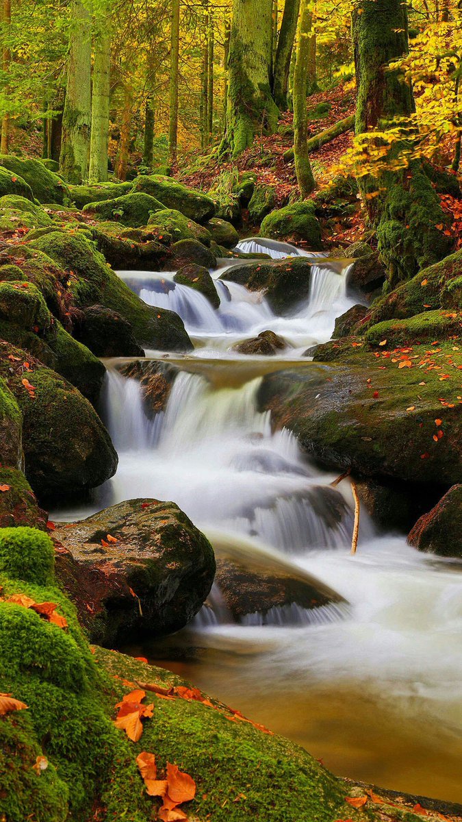 nature_twinsta's tweet photo. #Autumn #waterfall
#nature #photography #forrest https://t.co/ohljrOtcVW